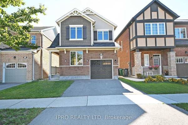 16 Stedford CRES #Basement, Brampton, ON L7A 4P5