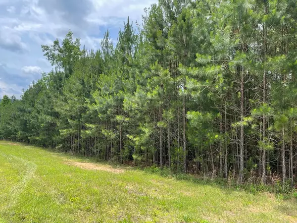 LOT 41 NORTHSHORE, Blairsville, GA 30512