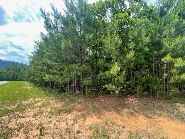 Blairsville, GA 30512,LOT 41 NORTHSHORE