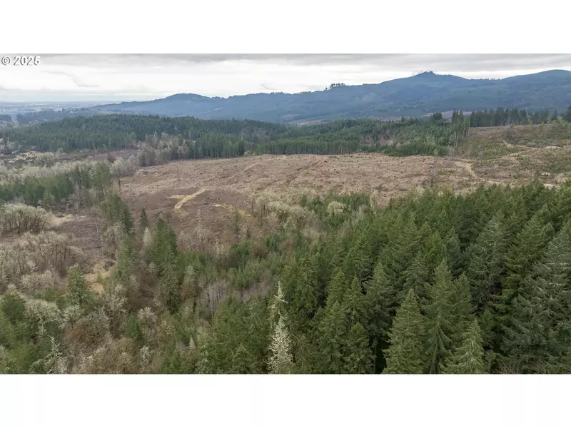 0 Panther Creek RD, Carlton, OR 97111