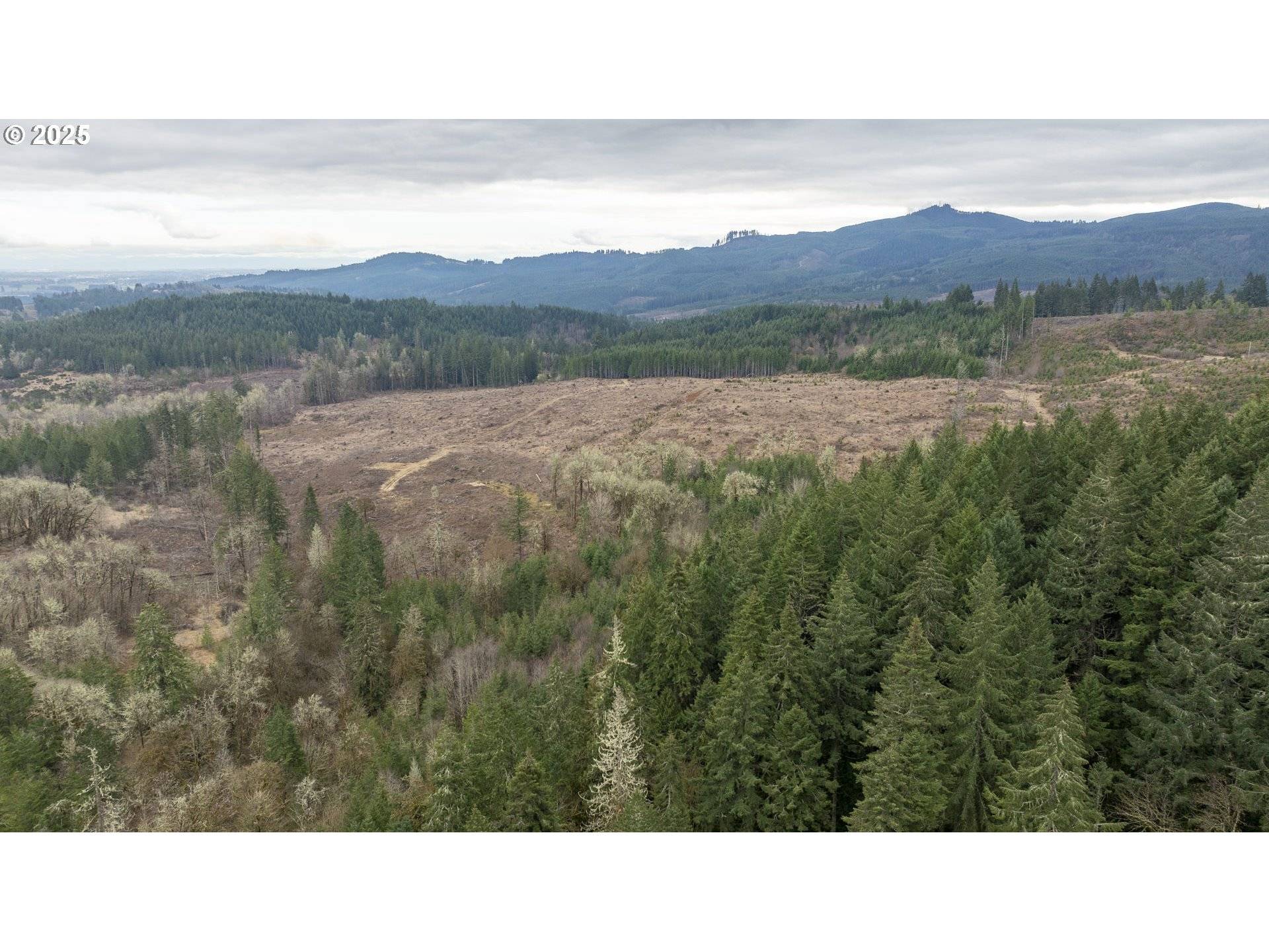 Carlton, OR 97111,0 Panther Creek RD