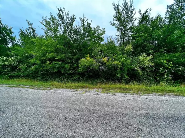 Gordonville, TX 76245,TBD Richard Drive