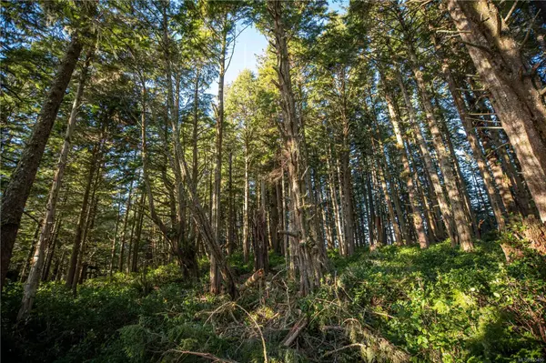 Ucluelet, BC V0R 3A0,0 Francis Island