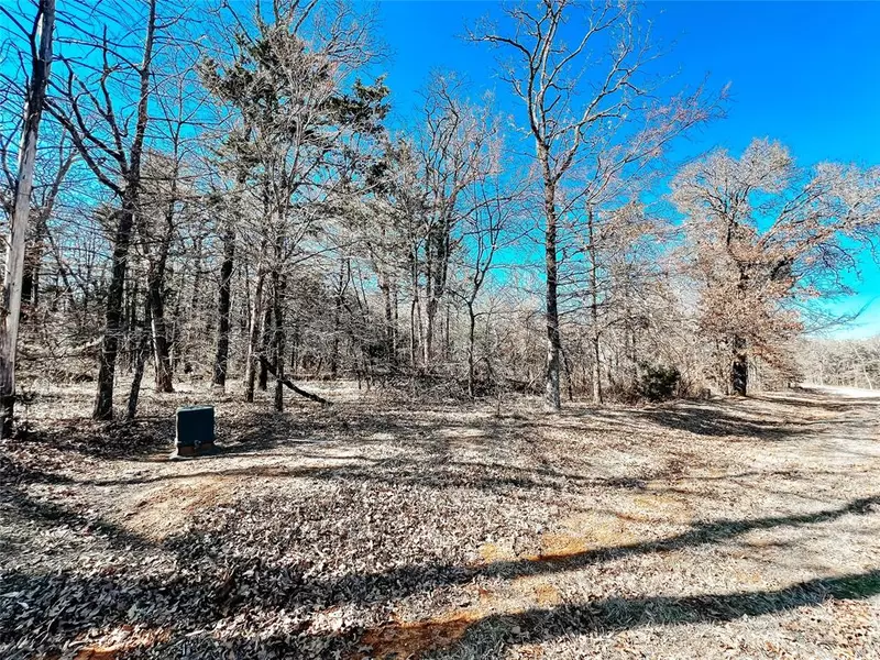 Lot 10 Castle Pines Circle, Gordonville, TX 76245