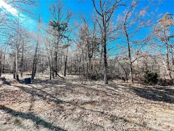 Gordonville, TX 76245,Lot 10 Castle Pines Circle