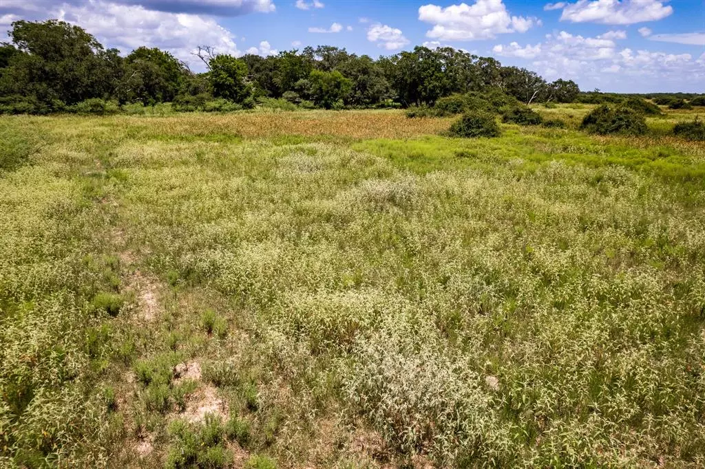 Hallettsville, TX 77964,TBD 83 Acres County Rd 18