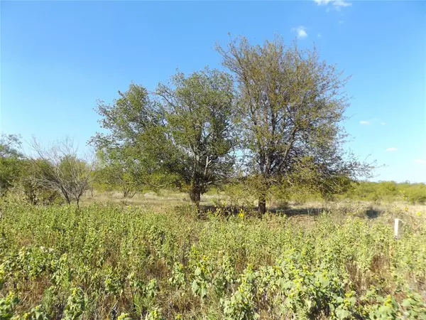 Oran, TX 76449,TBD Old Christian Road