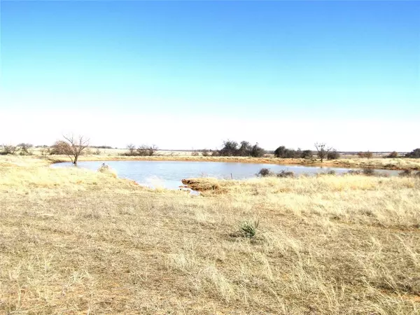 Rising Star, TX 76471,TBD Tract B County Road 253