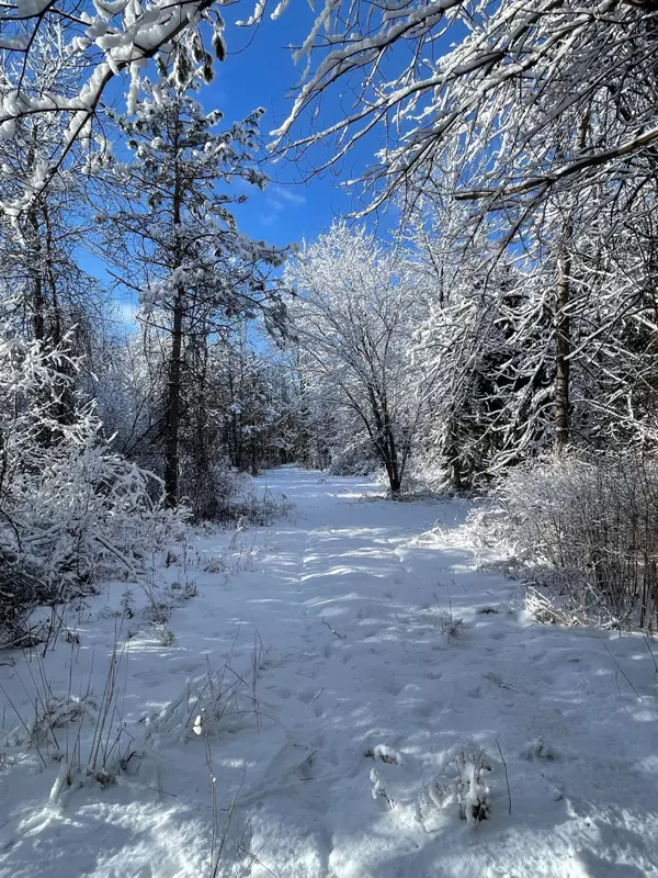 Rideau Lakes, ON K0E 1G0,635 Lake ST N