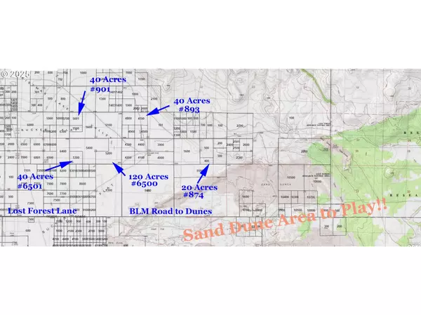 Christmas Valley, OR 97641,Lost Forest LN #5300