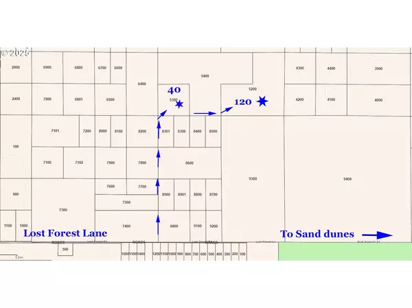 Christmas Valley, OR 97641,Lost Forest LN #5300