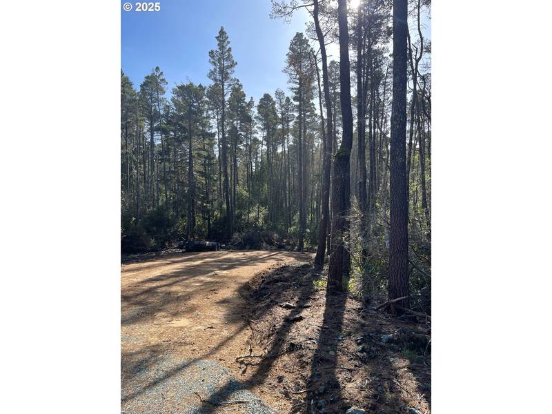 E Jupiter LN #1202, Bandon, OR 97411