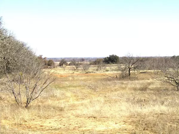 Rising Star, TX 76435,TBD Tract C County Road 253