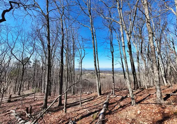 Talking Rock, GA 30175,Lot 22 The Vineyard @ Yukon