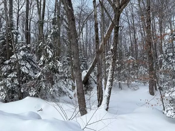 Huntsville, ON P0B 1M0,1788 Old Muskoka RD