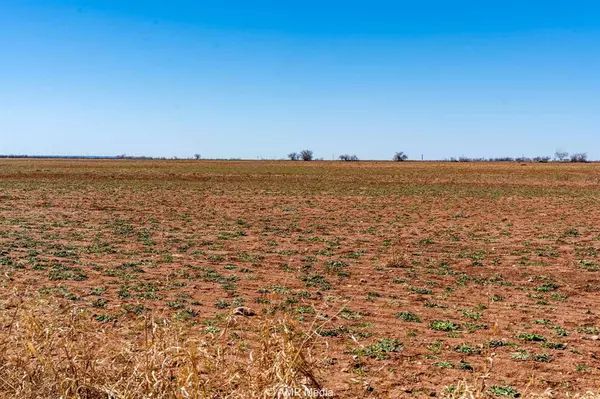 Merkel, TX 79536,TRACT 8 TBD COUNTY ROAD 415