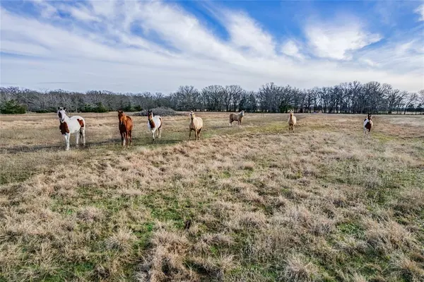 Dike, TX 75437,TBD County Road 3562