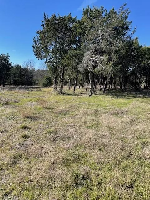 Whitney, TX 76692,310 W Ash Ridge