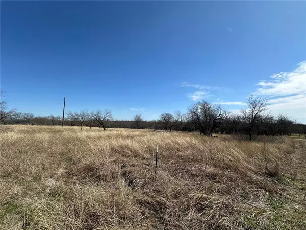 Whitney, TX 76692,TBD Private Road 226