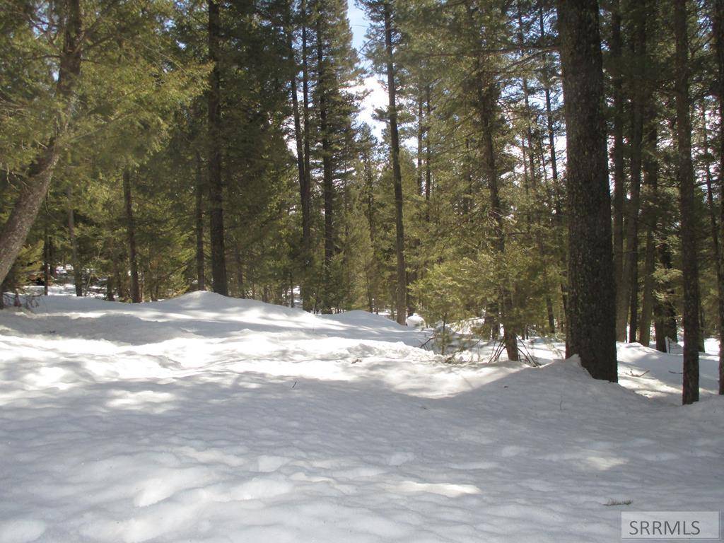 Island Park, ID 83429,4130 Juniper Drive