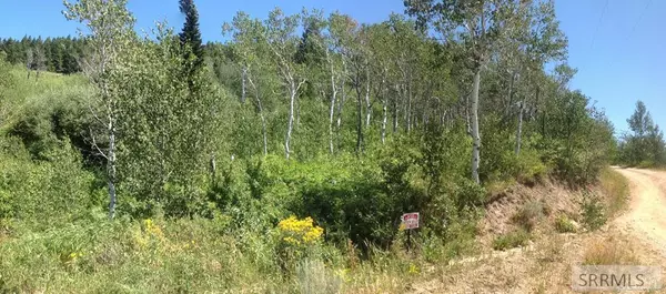 Island Park, ID 83429,5174 Valley Drive