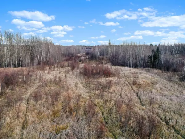 Rural Woodlands County, AB T0E 1N0,Lot 2, Willowside Estates