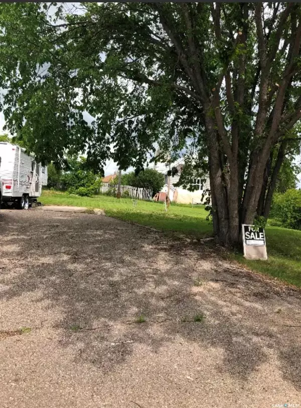 118 Cumming STREET, Springside, SK S0A 3V0