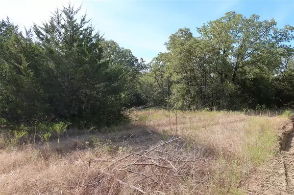 Bowie, TX 76230,TBD Bear Ridge Road