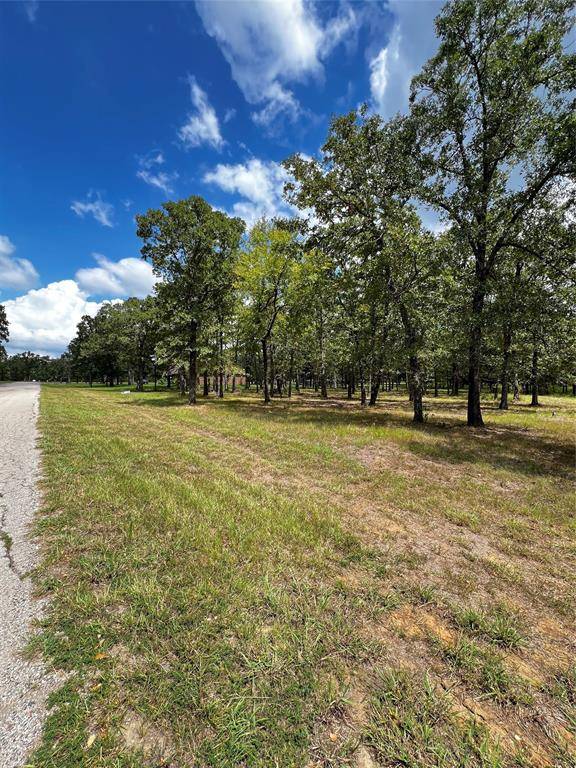 0 TBD Indian Springs, Malakoff, TX 75148