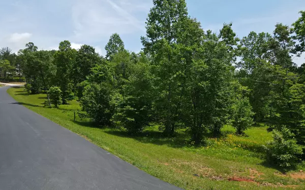 LT 43 Broad Water Court, Blairsville, GA 30512