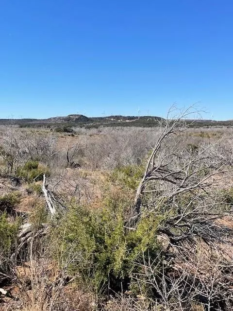 Merkel, TX 79536,TBD 75 acres CR 343