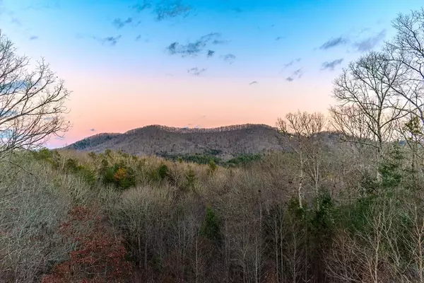 Mineral Bluff, GA 30559,1023 Knollwood Road