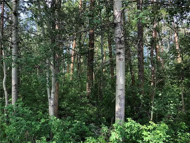 Plamondon, AB T0A 2T0,Lot 15 Campsite Road