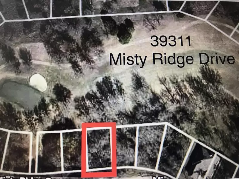 39311 Misty Ridge Drive, Whitney, TX 76692