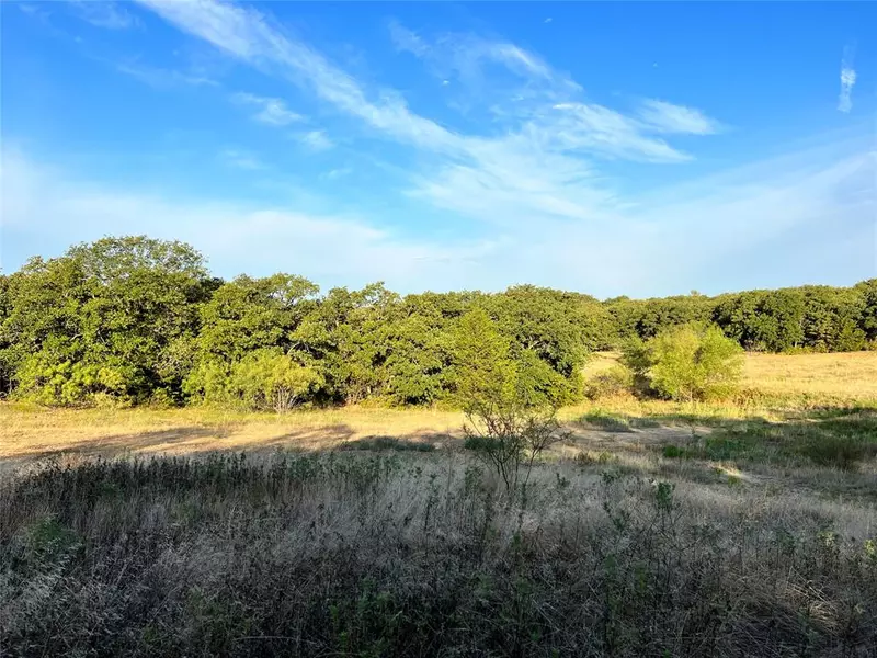 Lot 3 Edgin Road, Bowie, TX 76230