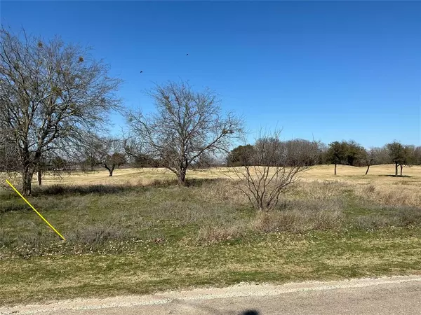 Whitney, TX 76692,27215 Meadowmore Drive