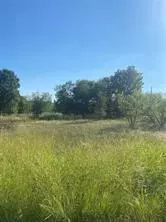 Lot 102 Brookview Court, Bridgeport, TX 76426