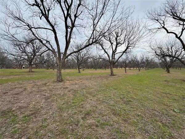 8225 Ravenswood Road, Granbury, TX 76049