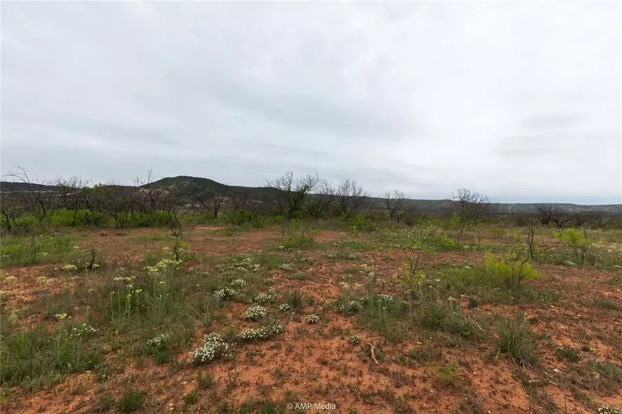 661 CR 321, Abilene, TX 79606