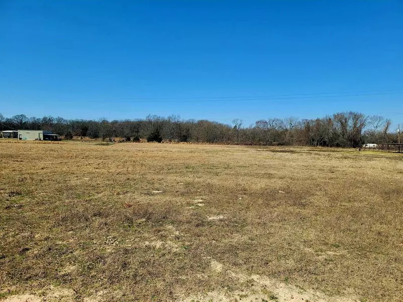 Lot 3 TBD Rs County Road 3150, Emory, TX 75440