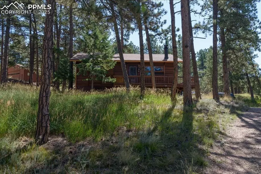 54 Arrowhead LN, Florissant, CO 80816