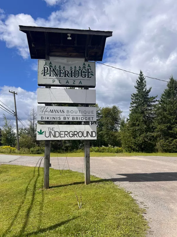 North Kawartha, ON K0L 1A0,10020 Hwy 28 HWY #UNIT 4