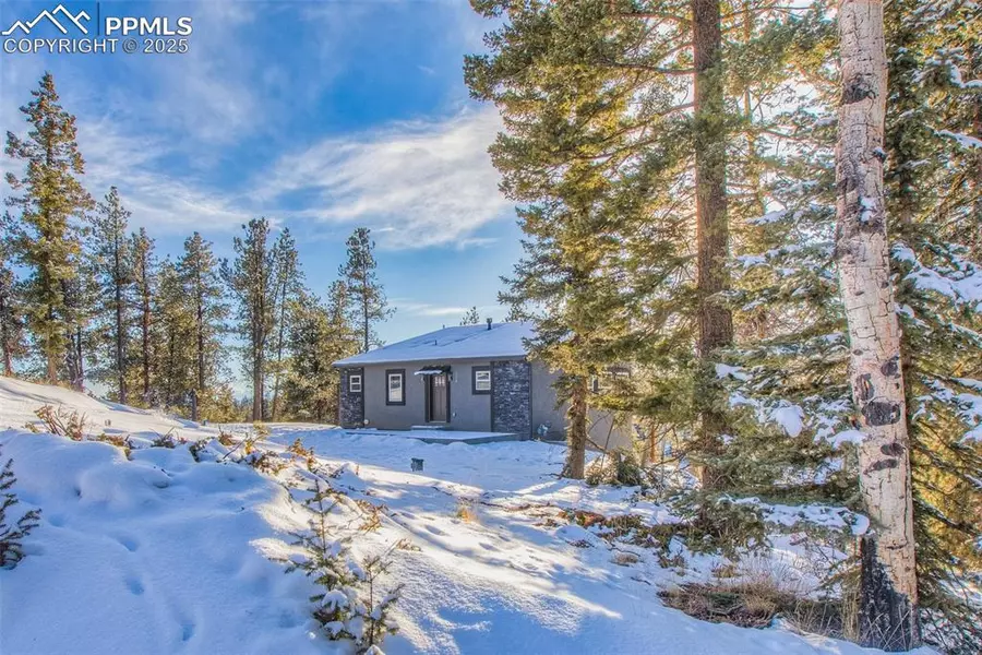 1328 N Mountain Estates RD, Florissant, CO 80816