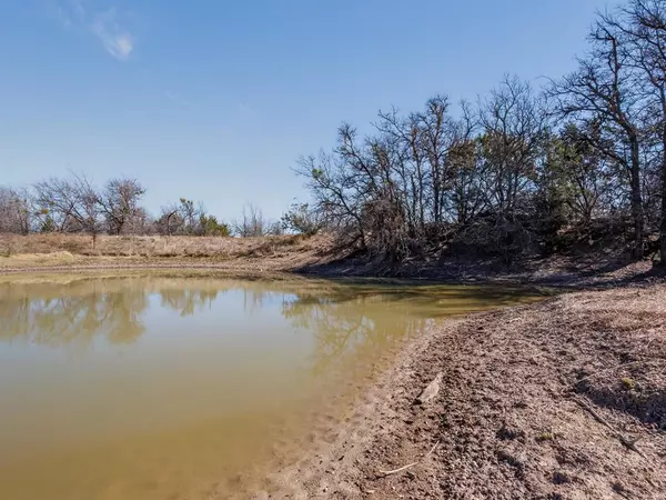 Blanket, TX 76432,1013 County Road 153