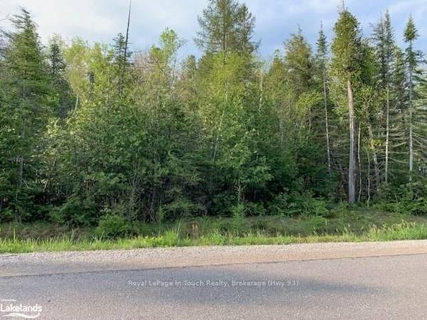 Lot 266 Champlain RD, Tiny, ON L9M 0C6