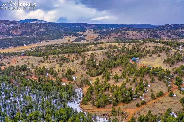 Florissant, CO 80816,1985 Timber Mesa