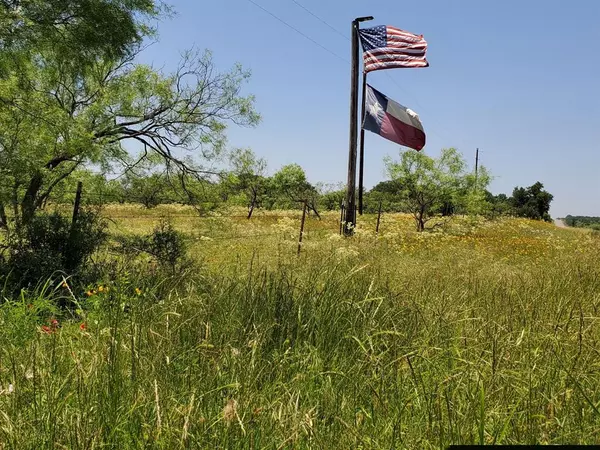 19069 Highway 6, Gorman, TX 76454