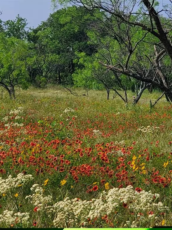 Gorman, TX 76454,19069 Highway 6