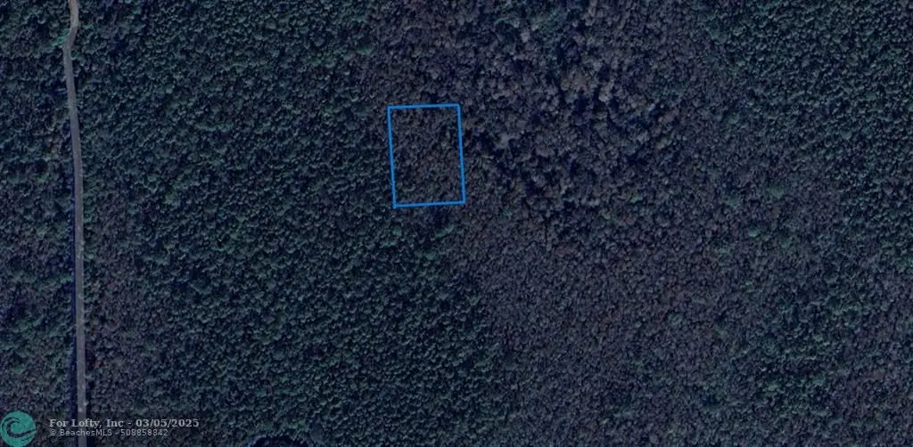 New Smyrna Beach, FL 32168,0 St