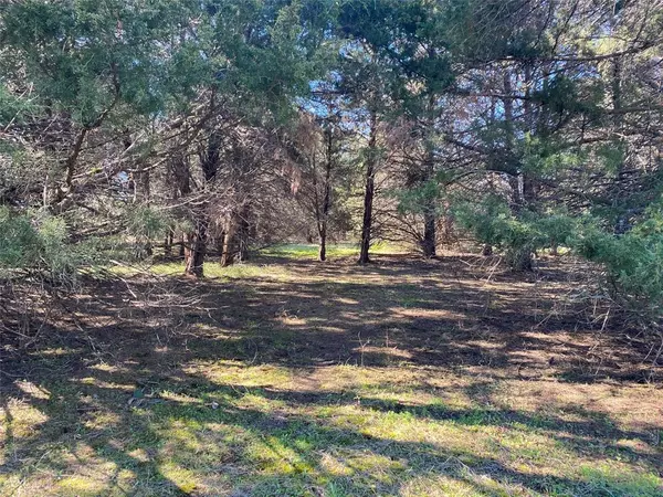 Lot 89 Sweetwater Ranch Jackson Circle, Kerens, TX 75144